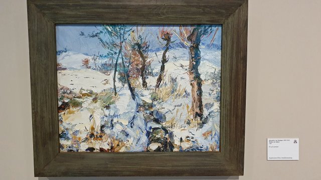 Alexander Spzinger - Ausstellung im Gartenbaumuseum